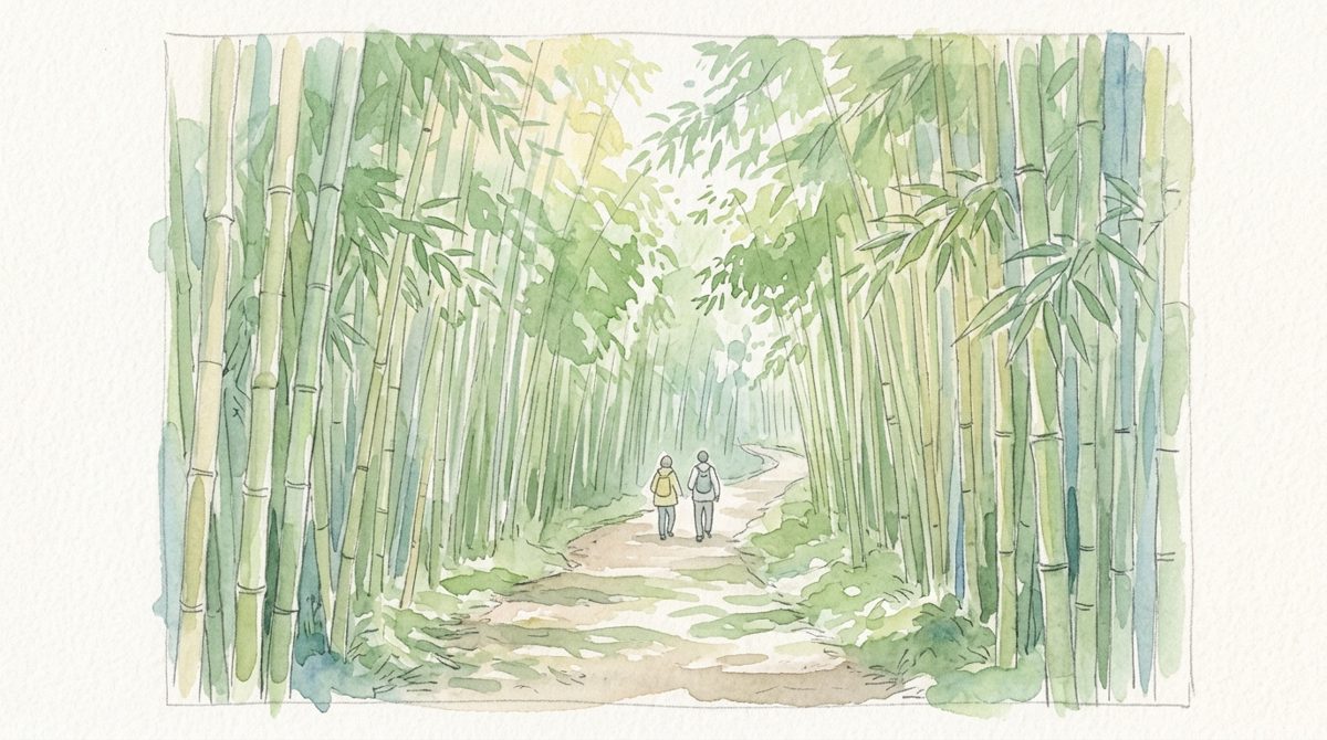 竹林の小径