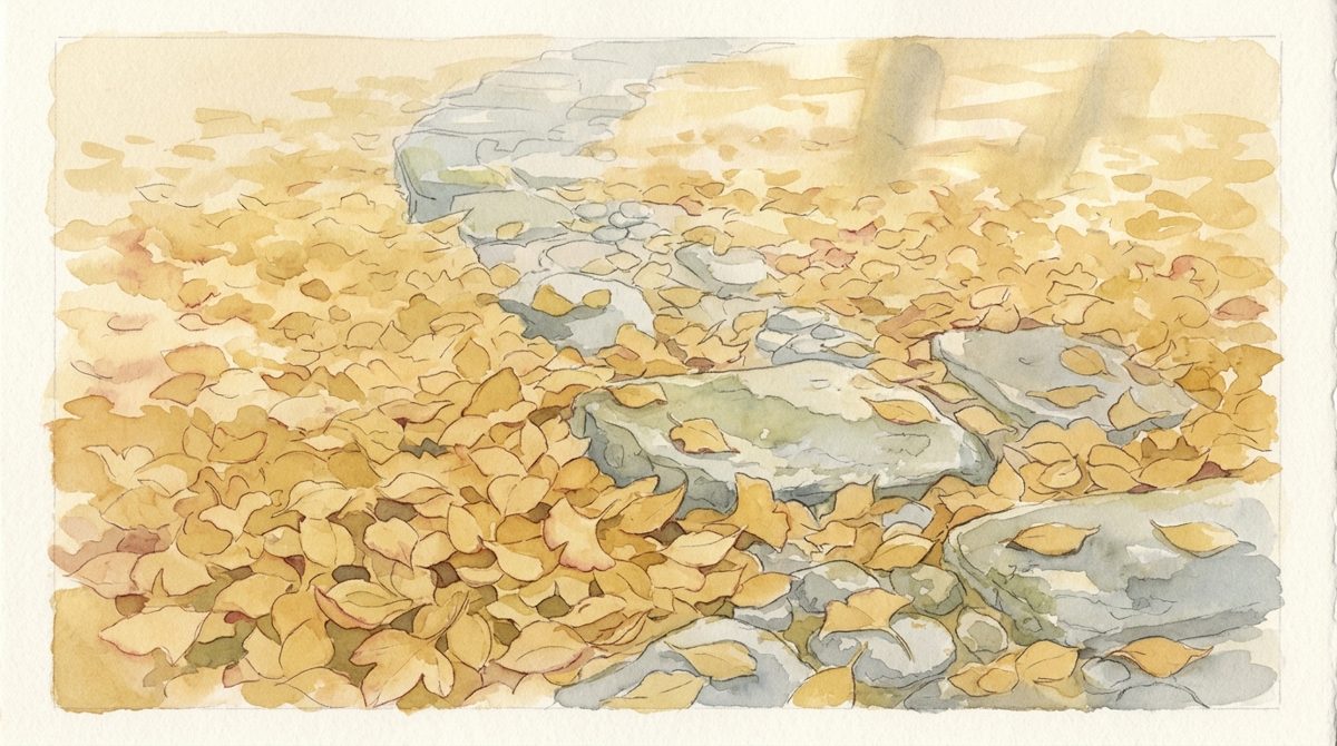 黄朽葉色 (kikuchiba-iro)